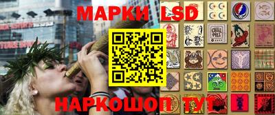 apvp Новодвинск