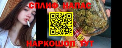 apvp Новодвинск