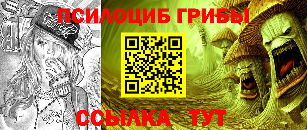Северобайкальск  Псилоцибиновые грибы Magic Shrooms  Вход с VPN 