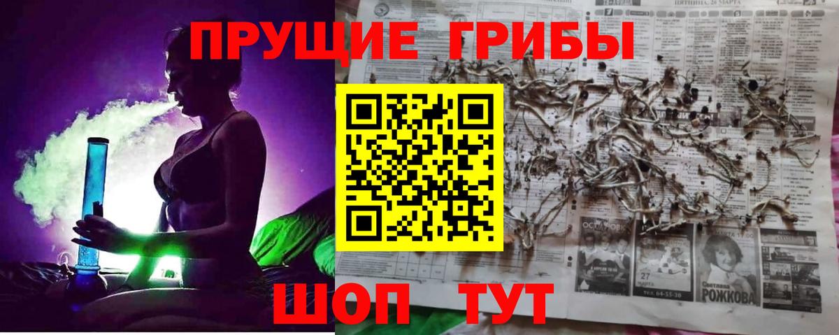 Галлюциногенные грибы Cubensis Северобайкальск